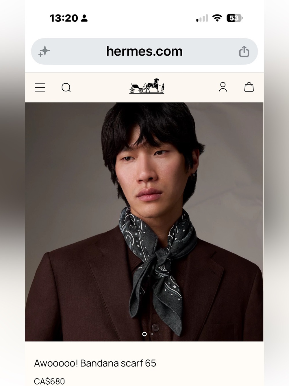 Final Price- No Offers! Hermes Cashmere Cheval Punk Gray 65 cm Bandana Scarf